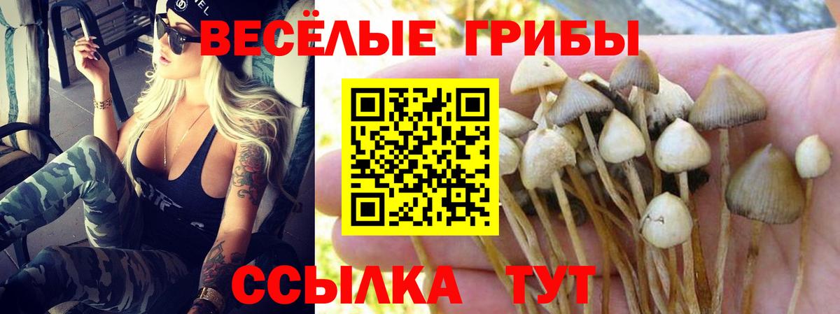Галлюциногенные грибы Magic Shrooms Ростов-на-Дону